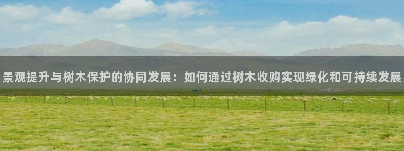 瑞丽市天顺娱乐会所法人