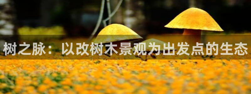 天顺娱乐 k户51828扣