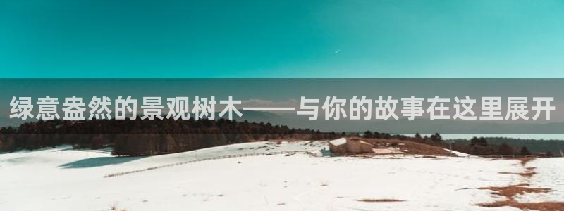 天顺电子娱乐公司