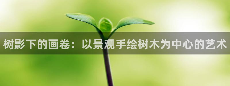 天顺娱乐总代理