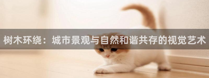 天顺娱乐平台开户