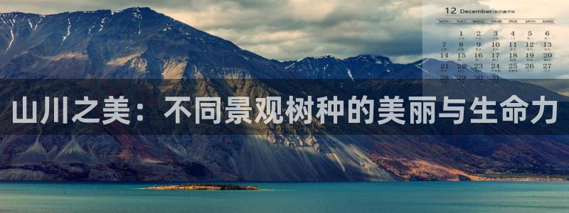 天顺娱乐密眠p官29999