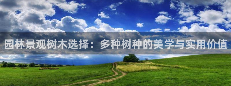 天顺娱乐偷78778卧