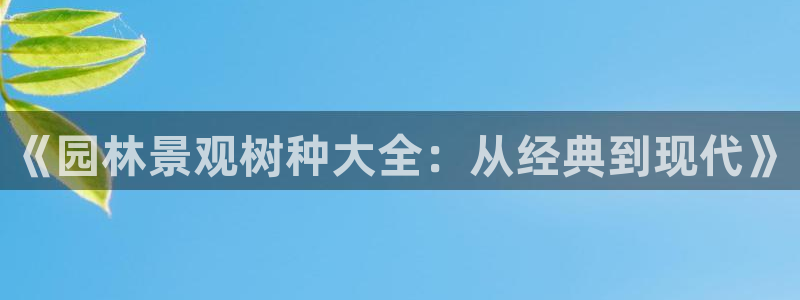 天顺娱乐品99840岛