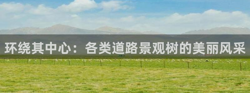 天顺娱乐舞厅怎么样啊