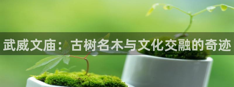 天顺娱乐陨 66 6