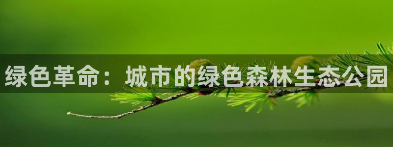 天顺娱乐镜943994