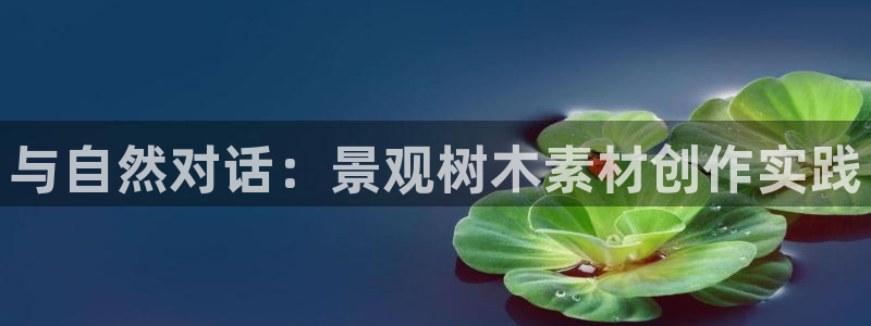 天顺娱乐寄 66 6