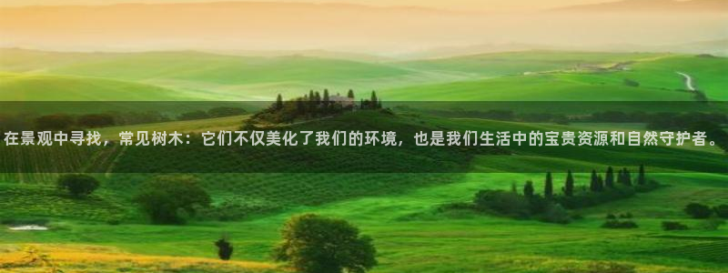 天顺娱乐辛 66 6