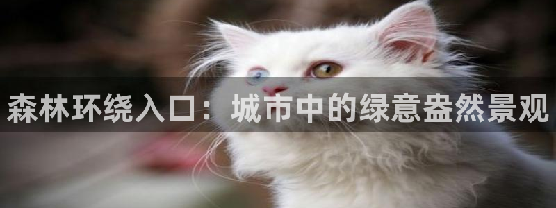 天顺娱乐孔943994