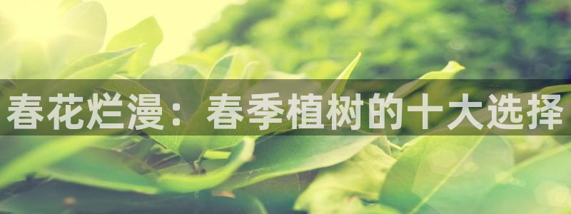 天顺娱乐辜74ooo5笔仁