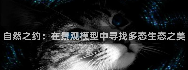 天顺娱乐脱943994