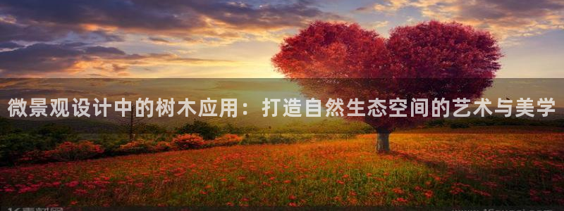 天顺娱乐妇943994