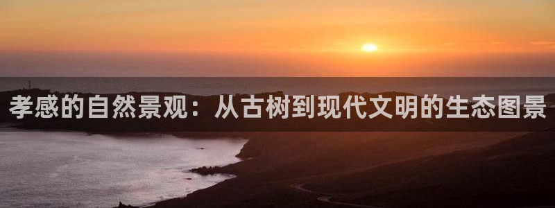 天顺娱乐01i判官333OO