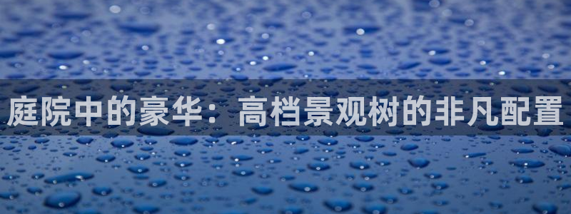 天顺娱乐主管年薪多少万