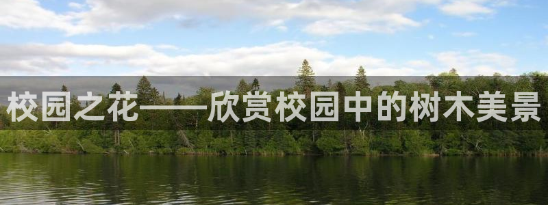 天顺娱乐z.主57661管