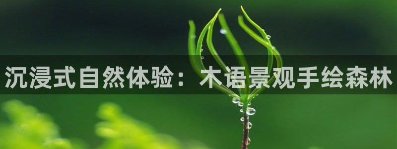 天顺娱乐官方下载安装