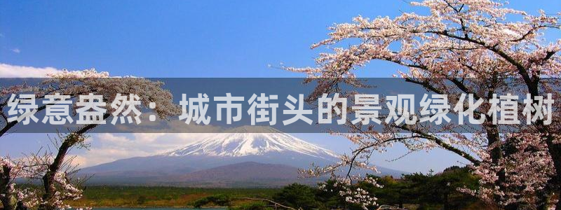 天顺娱乐丩金手指专业6