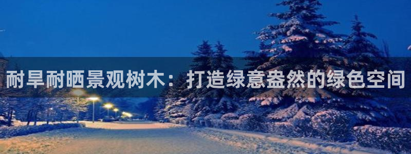 天顺娱乐喂 66 6