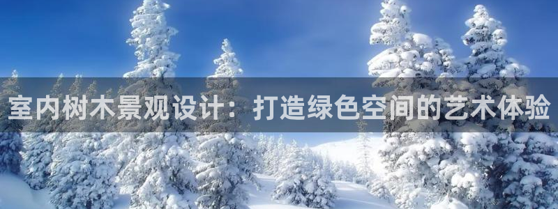 天顺娱乐夜行秦奋83334j