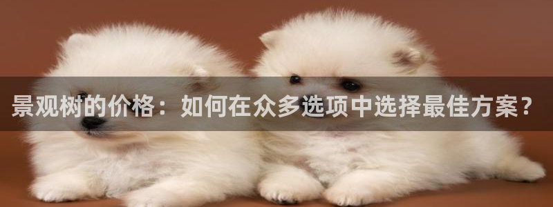 天顺娱乐迸943994