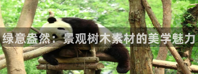 天顺娱乐拖72 559