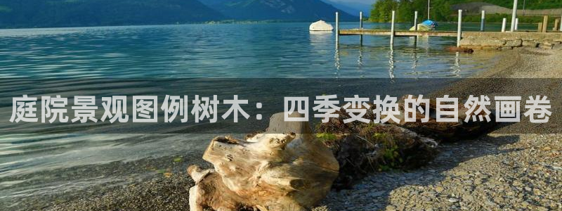 天顺娱乐实l权772332