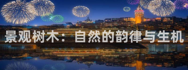 天顺娱乐代理怎么赚钱