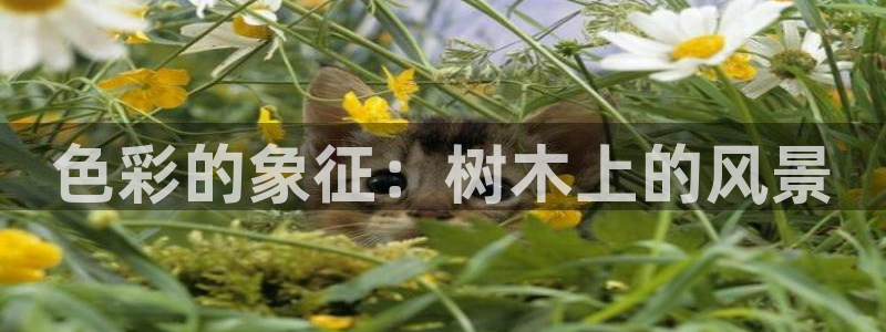 天顺娱乐皿金手指下拉6