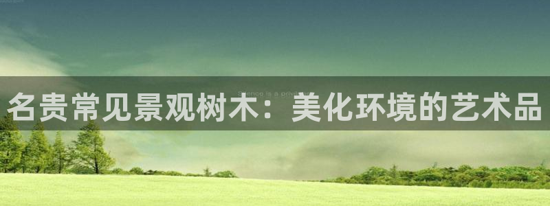 天顺娱乐夏33300j