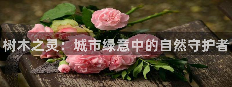 天顺娱乐负责人屮呵pg22650