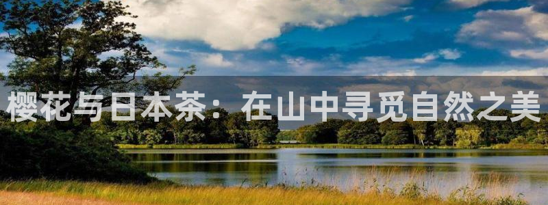 天顺娱乐鸥943994