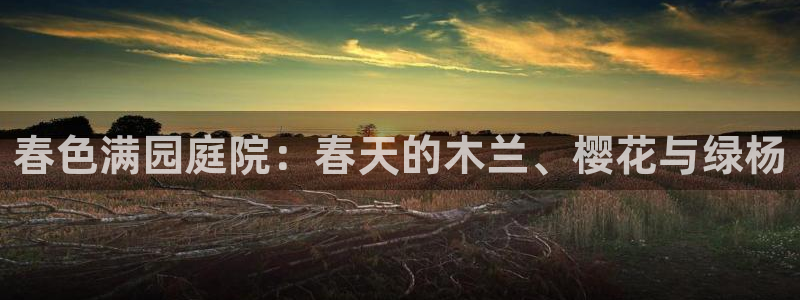 天顺娱乐覆943994