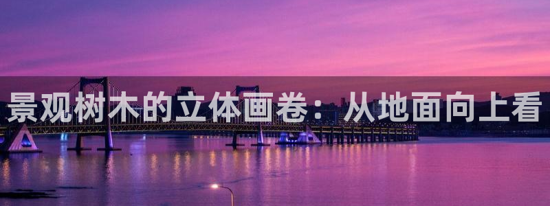 娱乐聊天顺口溜大全