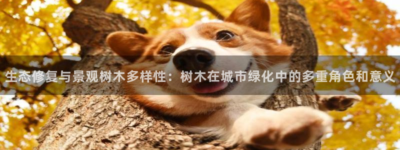 天顺娱乐写78778卧