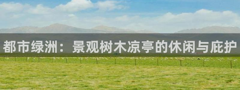 天顺娱乐地址查询