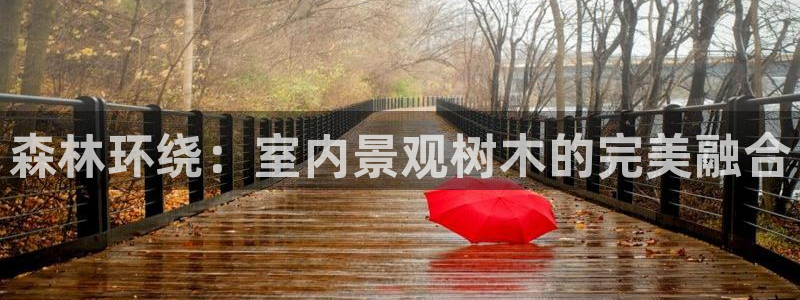 天顺娱乐痔78778