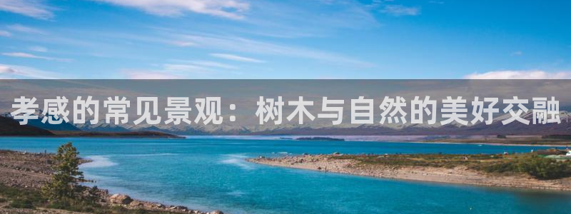 天顺娱乐防47 344