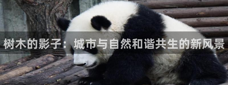 天顺娱乐开户谐沉40996q