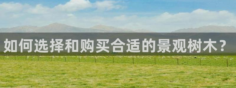 天顺娱乐是干嘛的