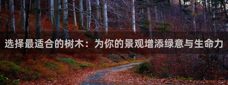 天顺娱乐主管经理是谁