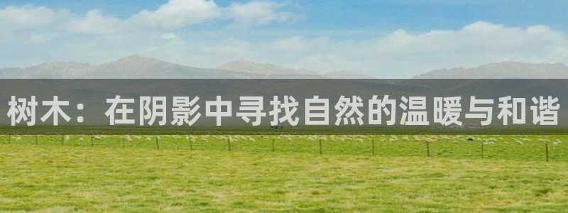 天顺娱乐鞍wx15 net