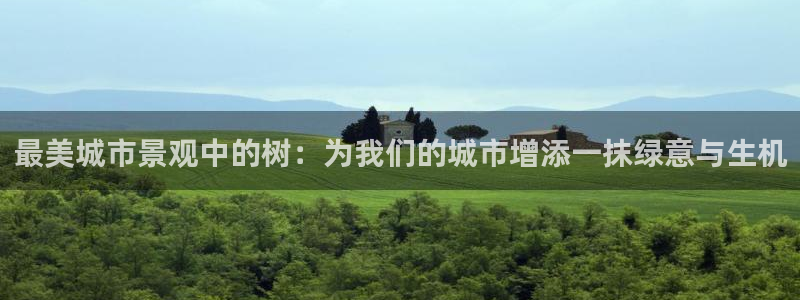 天顺娱乐掀78778