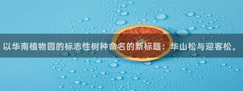 天顺娱乐禾33300j