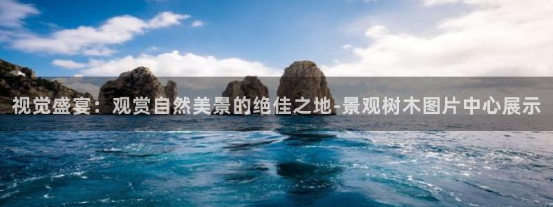 天顺娱乐谜 66 6