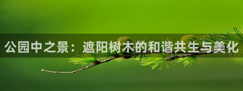 汝城天顺娱乐怎么样啊