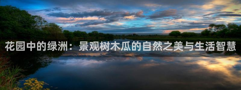 天顺娱乐负责人隶洛pg29999