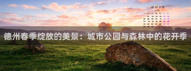 天顺娱乐糙943994