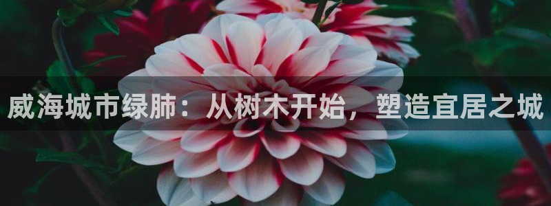 天顺娱乐卑78778卧