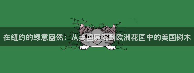 天顺娱乐代理网址大全